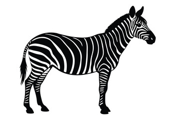 Fototapeta premium Zebra Silhouette Vector Illustration Wildlife Zebras Outline Vector Art Silhouette of Wild Animal