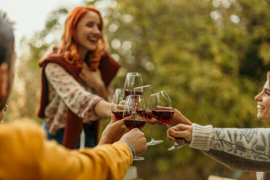Friends toasting red wine glasses at outdoor party in autumn