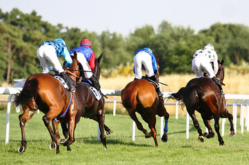 Emocionante carrera de caballos con sus jockeys galopando a toda velocidad en la curva del hip&oacute;dromo