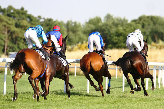 Emocionante carrera de caballos con sus jockeys galopando a toda velocidad en la curva del hip&oacute;dromo