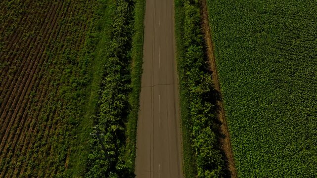 Aerial drone reveals Mount Yōtei, asphalted road, trekking path, destination to Japanese Hokkaido famous Peak