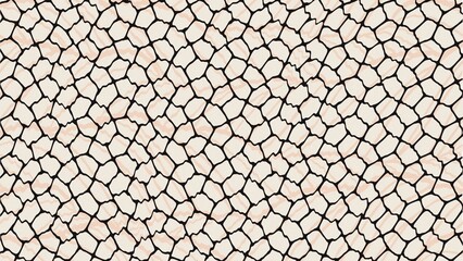 Seamless Abstract Stone Pattern with Black Lines and Beige Texture