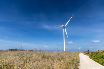Fototapeta premium Wind turbines in a rural landscape under a clear blue sky, photographed from a gravel path leading into the scene through fields with early summer vegetation.