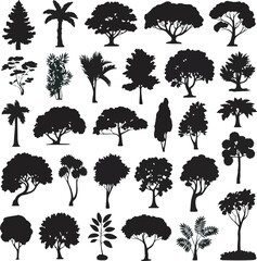 Black Silhouettes of Various Trees and Plants tree silhouettes