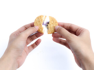Hands breaking a round cookie filled with purple and white filling, isolated on a white background