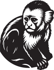 Capuchin Monkey Simple Black and White Vector Illustration
