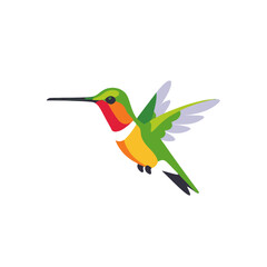 Colorful Hummingbird Flying Illustration Vector Graphic Design
