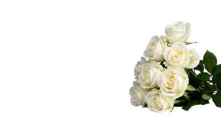 Bouquet of white roses isolated on transparent background