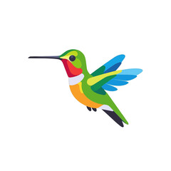 Fototapeta premium Colorful Hummingbird Illustration Flying Bird Vector Graphic Design