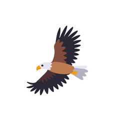 Fototapeta premium Flying Eagle Illustration Vector Graphic Design