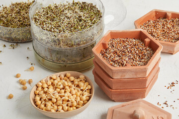 Sprouted chickpeas and seeds – raw vegan mix