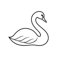 Fototapeta premium swan line art