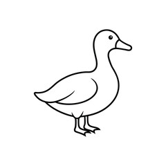 Fototapeta premium duck line art