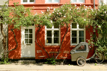 Fototapete bei efototapeten.de bestellen   