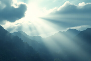 Fototapeta premium Sun rays illuminating misty forest in tranquil morning light