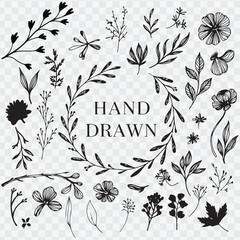 Hand drawn floral ornaments. Decorative flower, leaf and branch for wedding invitation design. Nature elements vector 
