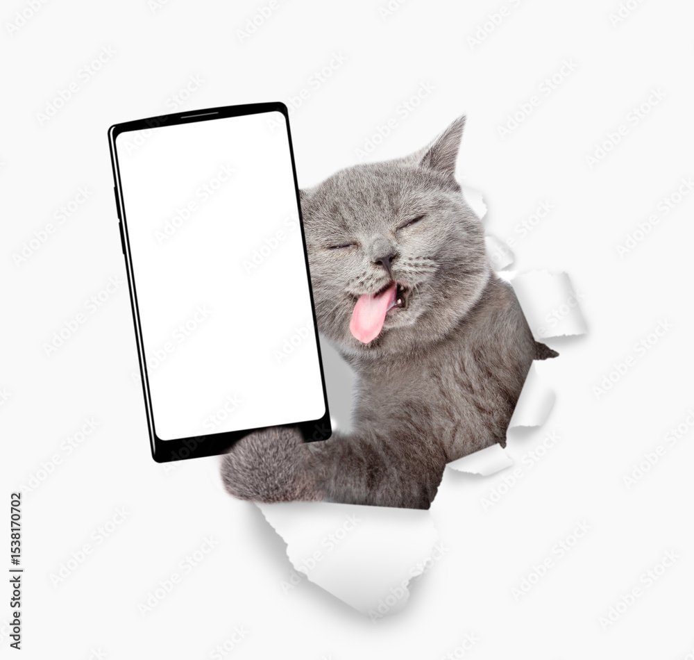 Poster funny cat with tongue out holding big smartphone with white blank screen through torn white paper ho
