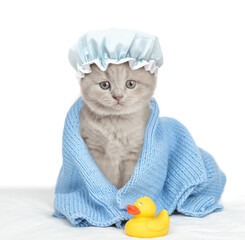 Cute gray kitten with tiny shower cap on it head wrapped in blue towel after bathing sitting with...