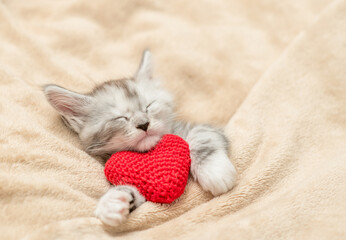 Tiny maine coon kitten covered warm plaid hugs red heart on a bed at home. Valentines day concept....