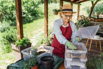 Senior Woman pensioner Preparing soil for transplanting plants on a summer terrace