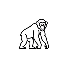 Fototapeta premium Minimalist Outline Illustration of a Chimpanzee Walking, Perfect for Educational Materials and Wildlife-Themed Designs, Isolated on a Clean White Background.