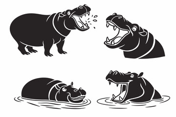 black and white horse