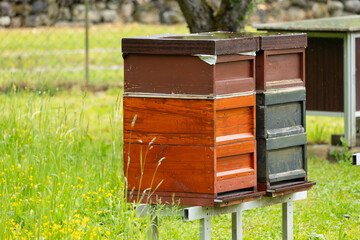 Bienenbeuten in einem Kleingarten, Hobby Imkerei 