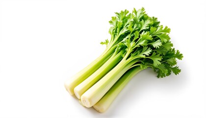 Fresh Celery: A close-up shot of fresh celery, a crisp and vibrant vegetable, isolated against a clear background. Capturing the natural freshness and vibrant color of this common ingredient.