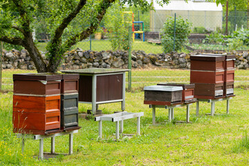 Bienenbeuten einer Hobby Imkerei 