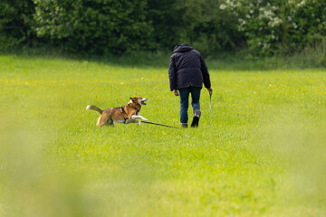 Ein Mann spielt mit seinem Hund auf einer Wiese 