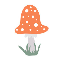 Amanita. Hand drawn poisonous mushroom fly agaric. Vector illustration
