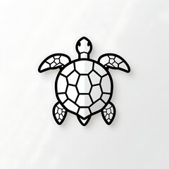 Fototapeta premium turtle