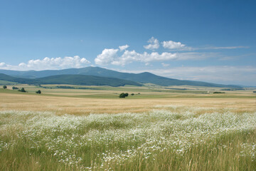 Obraz premium serene summer meadow in slovakia filled with wildflowers under clear blue sky