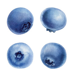 Watercolor Blueberries Set. Isolated Berries art. Natural Fruit Clipart for Packaging Labels Recipe Design Summer Decor