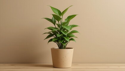Lively Green Plant in Kraft Pot on Soft Khaki Wall - Home Decor Inspiration, Indoor Environment