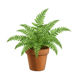 Lush Green Fern in Terracotta Pot isolated on transparent baackground