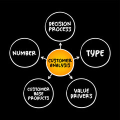 Customer Analysis mind map concept for presentations and reports