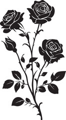 Elegant Black and White Orchid Illustration
Vintage Botanical Orchid Line Art
Monochrome Floral Tattoo Design &ndash; Orchid Bloom