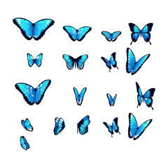 Set of blue butterflies.