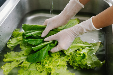 Woman washing fresh vegetables at kitchen sink, practicing hygiene and food safety indoors to prevent illness during pandemic, ensuring healthy lifestyle and cleanliness.