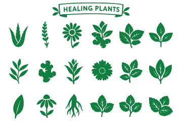 Herbal Healing Plant Silhouettes Collection for Natural Medicine and Wellness Design