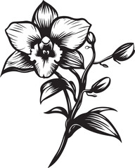 Elegant Black and White Orchid Illustration
Vintage Botanical Orchid Line Art
Monochrome Floral Tattoo Design – Orchid Bloom