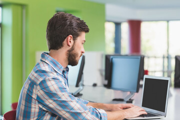Desktop monitors lining long shared desk and reflecting bright natural light near green accent wall