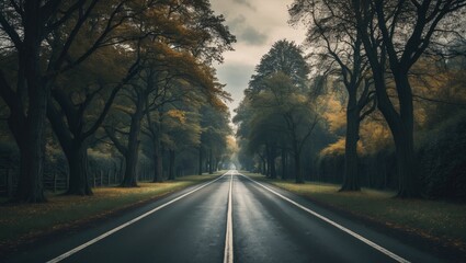 Fototapeta premium A scenic road with trees on both sides, a bicycle path.