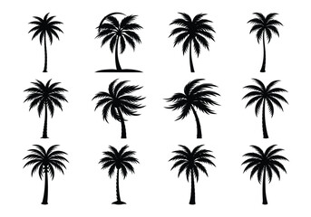 silhouette set on black palm tree of vector on white background 