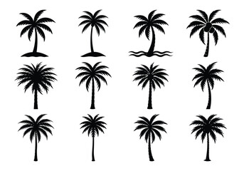 Collection of Vector Tropical Palm Tree Silhouettes for Design on white background 