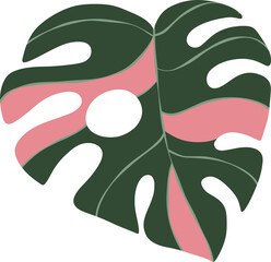 Monstera Leaf Illustration