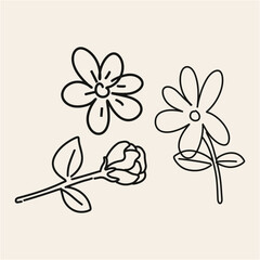 Simple Line Art Flowers Hand-Drawn Botanical Illustrations