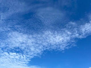 神田川8月：空とうろこ雲