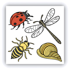 Watercolor dragonfly set png. Realistic watercolor dragonfly on transparent background. Watercolor insects. Nature and botany concept. Vector illustration.